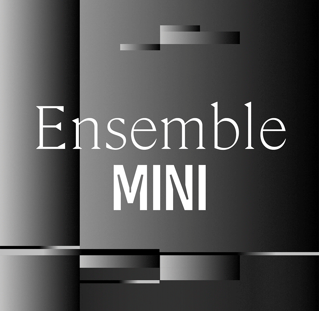 Ensemble Mini - 16 supersonic soloists in one orchestra